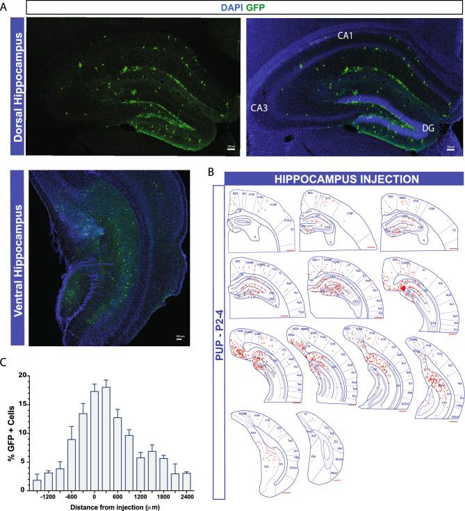 https://cdn.ncbi.nlm.nih.gov/pmc/blobs/21fa/10864292/fbcb3f8fd2ae/41598_2024_52478_Fig6_HTML.jpg