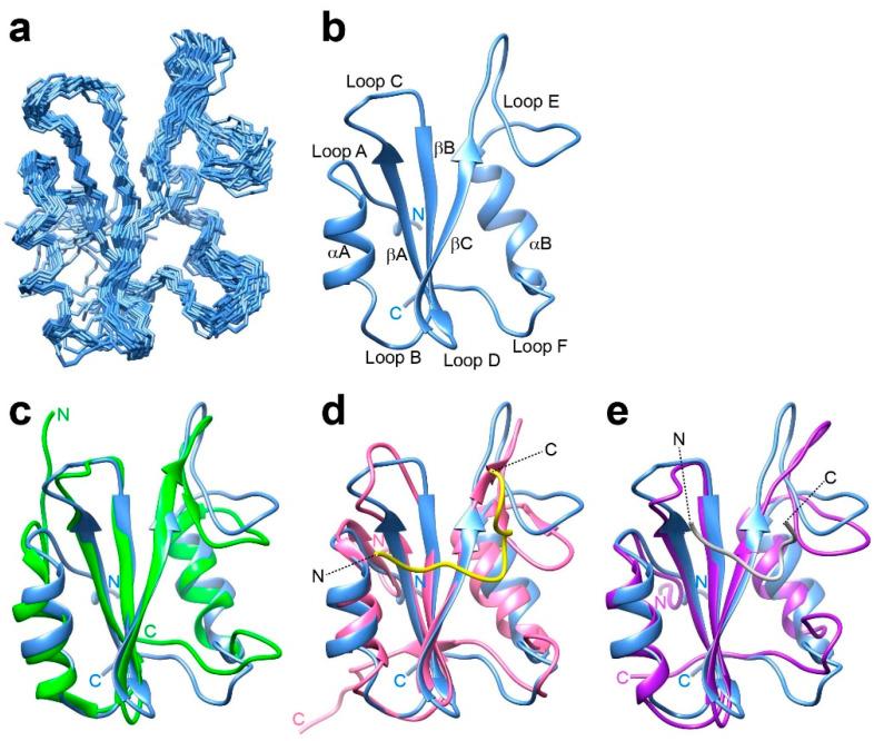 https://cdn.ncbi.nlm.nih.gov/pmc/blobs/21fb/11203457/20582e7f4ceb/ijms-25-06386-g001.jpg
