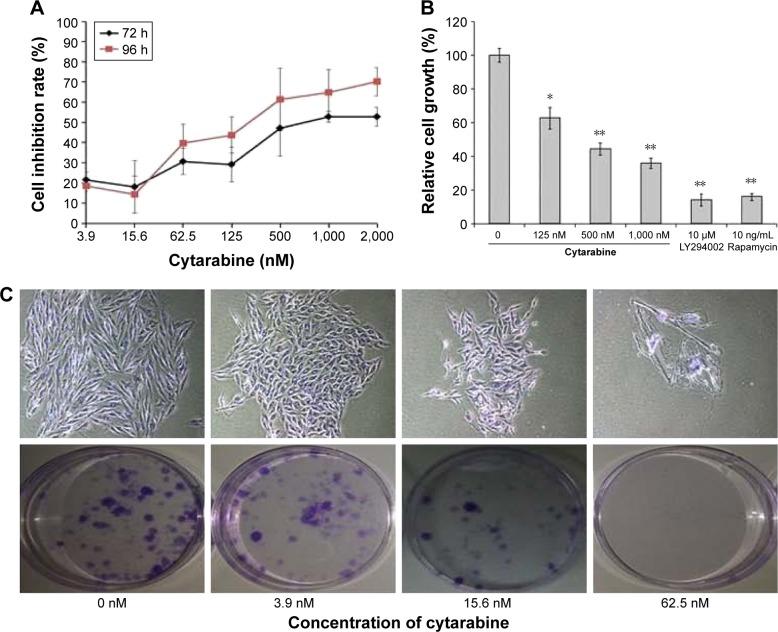 https://cdn.ncbi.nlm.nih.gov/pmc/blobs/21fb/5500519/d80fad3371d0/dddt-11-1905Fig2.jpg