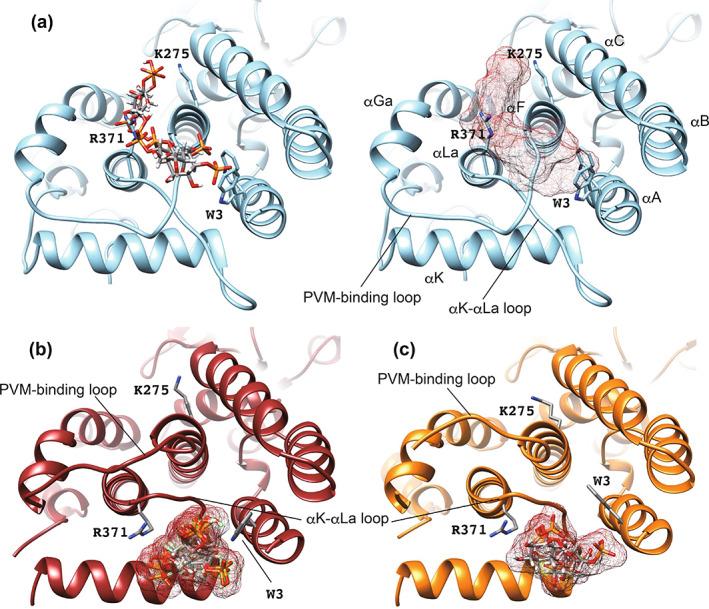https://cdn.ncbi.nlm.nih.gov/pmc/blobs/21fd/11448365/708e094220e6/GTC-29-17-g010.jpg
