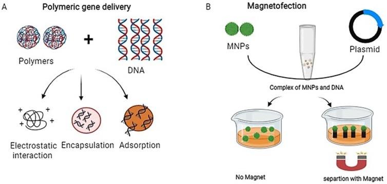 https://cdn.ncbi.nlm.nih.gov/pmc/blobs/2203/8500685/173a23d2e9f0/gr2_lrg.jpg