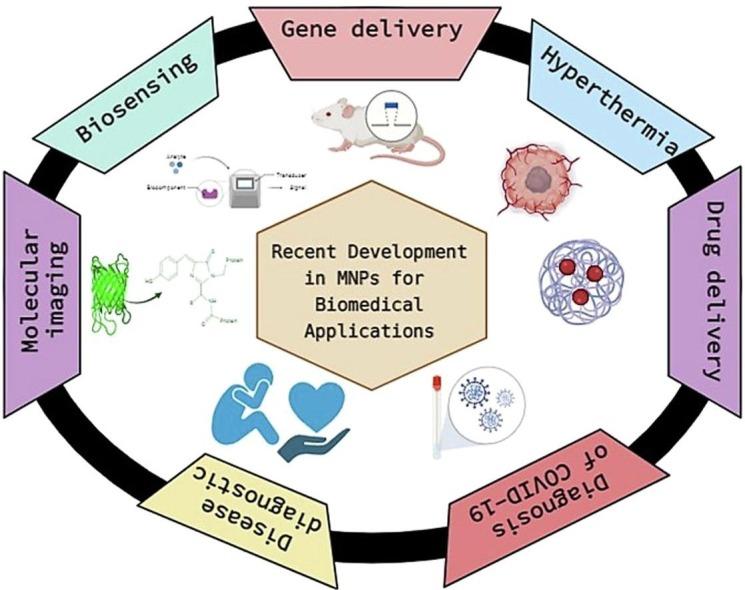 https://cdn.ncbi.nlm.nih.gov/pmc/blobs/2203/8500685/6d061e7a7144/ga1_lrg.jpg