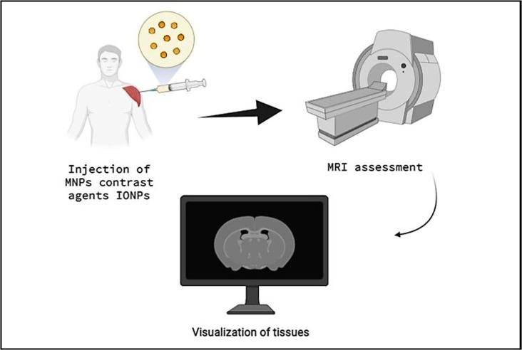 https://cdn.ncbi.nlm.nih.gov/pmc/blobs/2203/8500685/6e7b2a076d3b/gr6_lrg.jpg