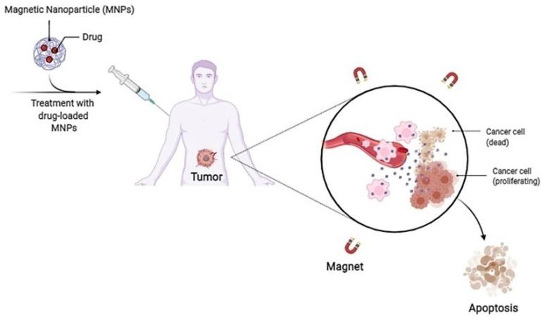 https://cdn.ncbi.nlm.nih.gov/pmc/blobs/2203/8500685/df2168ce6688/gr3_lrg.jpg