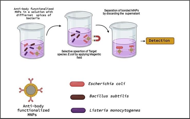 https://cdn.ncbi.nlm.nih.gov/pmc/blobs/2203/8500685/ee5f2e93cd75/gr5_lrg.jpg