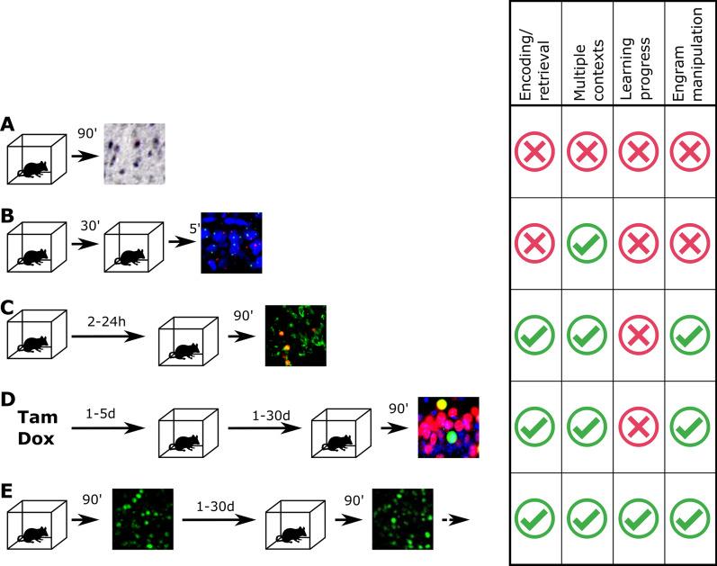 https://cdn.ncbi.nlm.nih.gov/pmc/blobs/2206/8642902/60eca8d0a85b/13041_2021_880_Fig3_HTML.jpg
