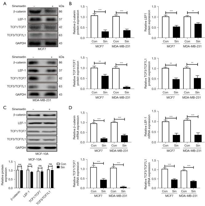 https://cdn.ncbi.nlm.nih.gov/pmc/blobs/2208/10894327/10aae37bb421/tcr-13-01-348-f4.jpg
