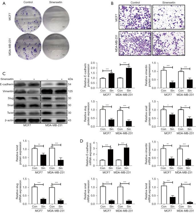 https://cdn.ncbi.nlm.nih.gov/pmc/blobs/2208/10894327/78d363638721/tcr-13-01-348-f2.jpg