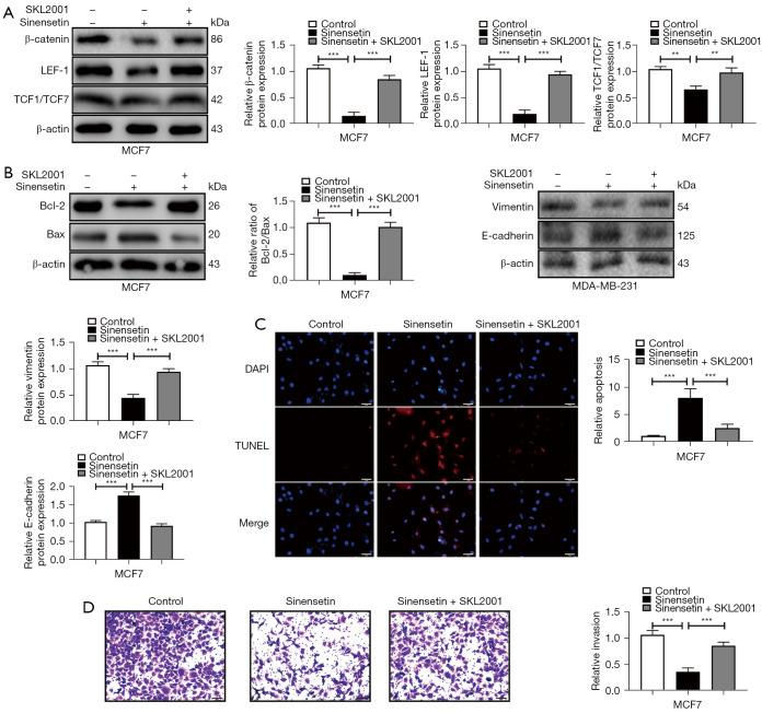 https://cdn.ncbi.nlm.nih.gov/pmc/blobs/2208/10894327/b18e879587d6/tcr-13-01-348-f5.jpg