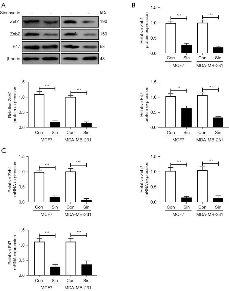 https://cdn.ncbi.nlm.nih.gov/pmc/blobs/2208/10894327/d8a87976121f/tcr-13-01-348-f3.jpg