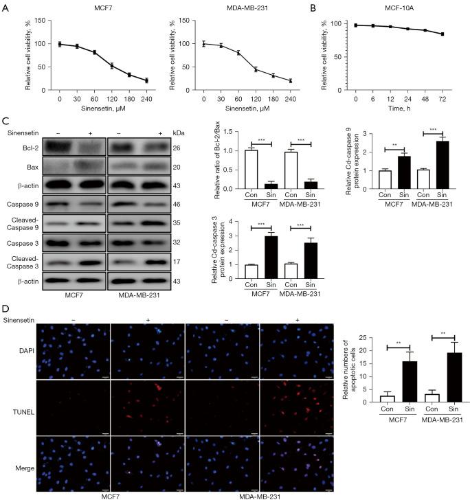 https://cdn.ncbi.nlm.nih.gov/pmc/blobs/2208/10894327/ff44379407c4/tcr-13-01-348-f1.jpg