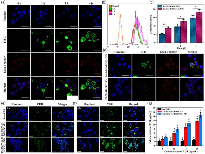 https://cdn.ncbi.nlm.nih.gov/pmc/blobs/2209/10189451/3e1cfbee0d0d/BTM2-8-e10510-g005.jpg
