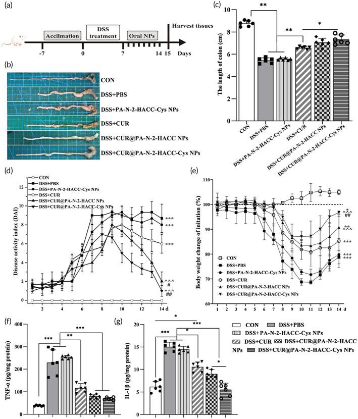 https://cdn.ncbi.nlm.nih.gov/pmc/blobs/2209/10189451/411c95c6921d/BTM2-8-e10510-g002.jpg