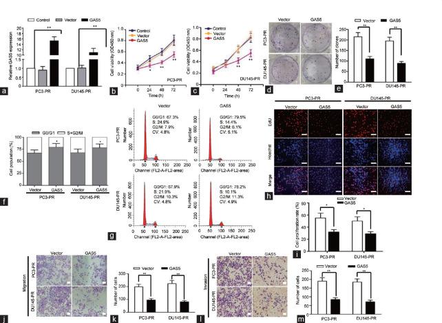 https://cdn.ncbi.nlm.nih.gov/pmc/blobs/220a/9809493/103efb0411ec/AJA-24-643-g002.jpg
