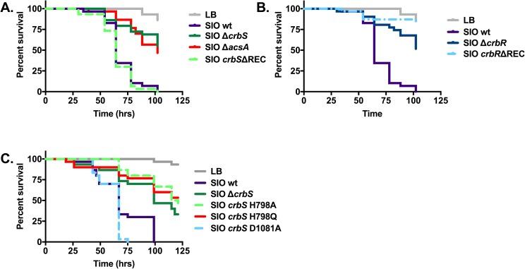 https://cdn.ncbi.nlm.nih.gov/pmc/blobs/220d/5436829/2f698bf96af0/pone.0177825.g010.jpg