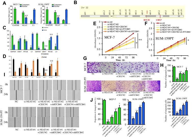 https://cdn.ncbi.nlm.nih.gov/pmc/blobs/220d/7102915/4048e3968792/OTT-13-2449-g0004.jpg