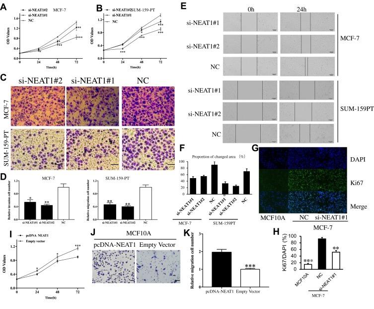 https://cdn.ncbi.nlm.nih.gov/pmc/blobs/220d/7102915/de314f46b1ae/OTT-13-2449-g0002.jpg