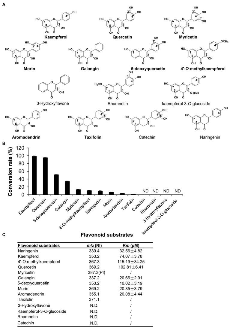https://cdn.ncbi.nlm.nih.gov/pmc/blobs/220e/8226212/a1bee985bc41/fpls-12-673337-g004.jpg