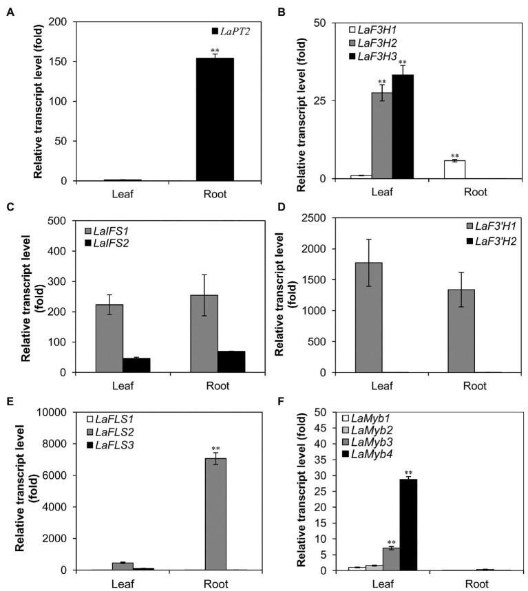 https://cdn.ncbi.nlm.nih.gov/pmc/blobs/220e/8226212/bcfee109b1df/fpls-12-673337-g001.jpg