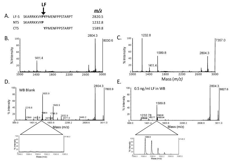 https://cdn.ncbi.nlm.nih.gov/pmc/blobs/2212/6259840/3024b0e396e6/molecules-16-02391-g003.jpg