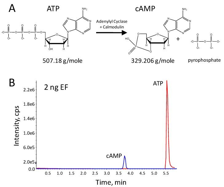 https://cdn.ncbi.nlm.nih.gov/pmc/blobs/2212/6259840/e3982fe31b1a/molecules-16-02391-g005.jpg