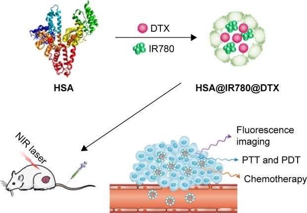 https://cdn.ncbi.nlm.nih.gov/pmc/blobs/2215/5661507/a35056cdd6b4/ijn-12-7777Fig8.jpg