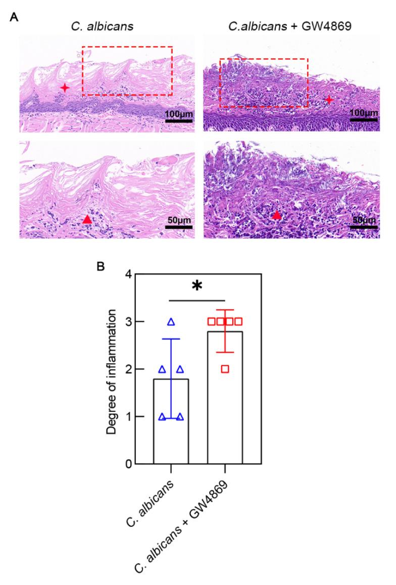 https://cdn.ncbi.nlm.nih.gov/pmc/blobs/2216/9781529/a588cb91c437/pathogens-11-01522-g003.jpg