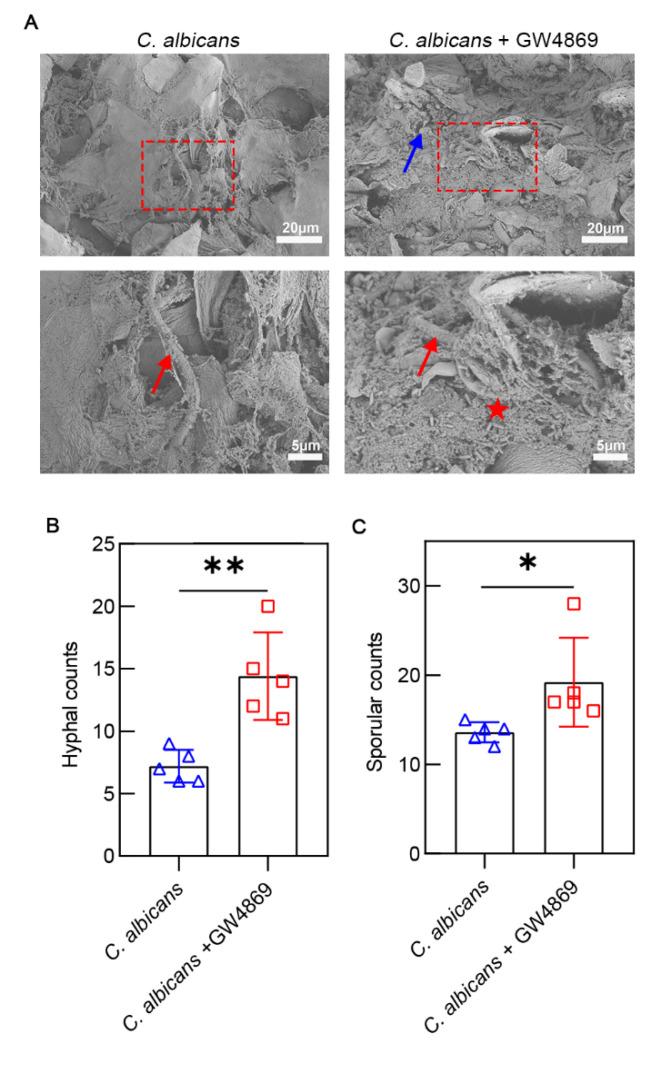 https://cdn.ncbi.nlm.nih.gov/pmc/blobs/2216/9781529/ad47f8d6949b/pathogens-11-01522-g005.jpg