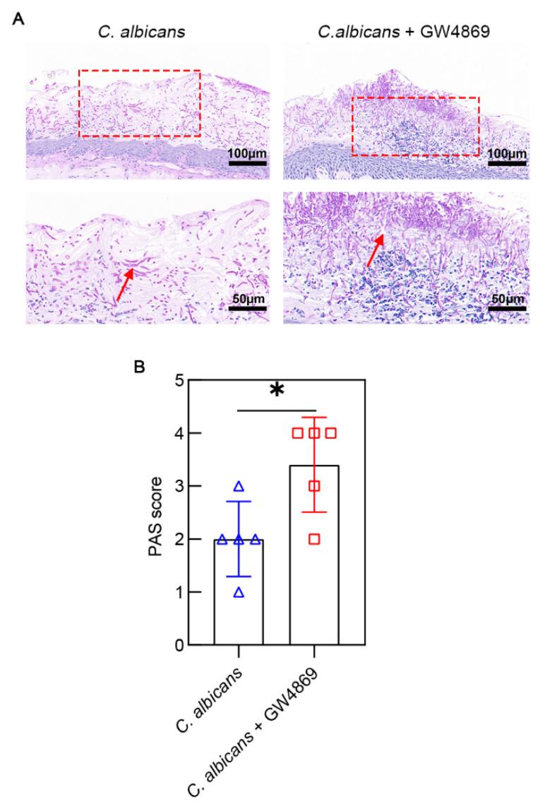 https://cdn.ncbi.nlm.nih.gov/pmc/blobs/2216/9781529/dd390c3a3900/pathogens-11-01522-g004.jpg