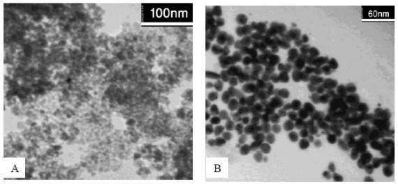 https://cdn.ncbi.nlm.nih.gov/pmc/blobs/2217/3265409/6a716f008348/1477-3155-10-3-8.jpg