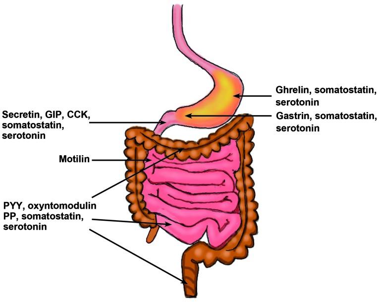 https://cdn.ncbi.nlm.nih.gov/pmc/blobs/2217/4887949/a190666b4040/br-04-06-0651-g01.jpg