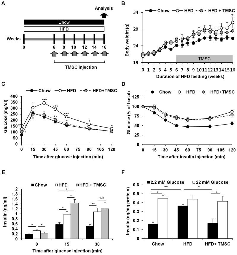 https://cdn.ncbi.nlm.nih.gov/pmc/blobs/2218/6523961/285c73ac4c73/cells-08-00368-g001.jpg