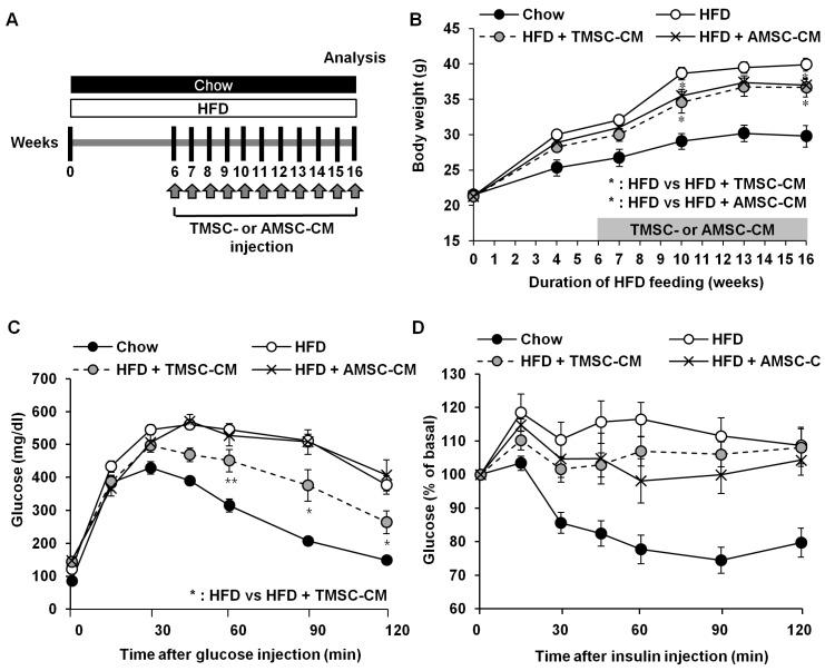 https://cdn.ncbi.nlm.nih.gov/pmc/blobs/2218/6523961/3cc9b191bec0/cells-08-00368-g005.jpg