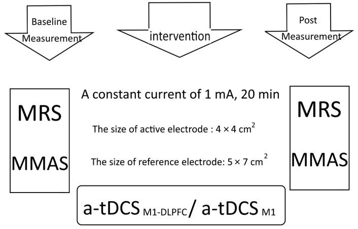 https://cdn.ncbi.nlm.nih.gov/pmc/blobs/2219/10377241/be68f9c7665b/brainsci-13-01100-g003.jpg