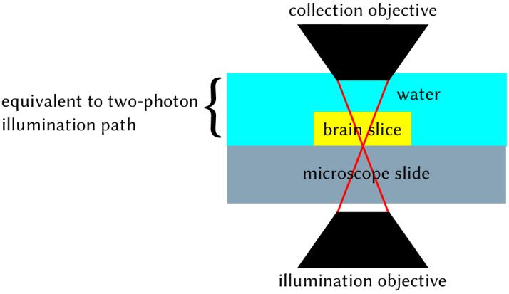 https://cdn.ncbi.nlm.nih.gov/pmc/blobs/2219/11482162/5da6c99c4e46/boe-15-10-5645-g002.jpg