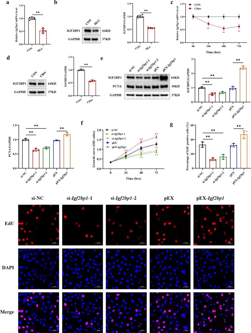 https://cdn.ncbi.nlm.nih.gov/pmc/blobs/2219/11757843/c1ac867689e3/18_2025_5588_Fig1_HTML.jpg
