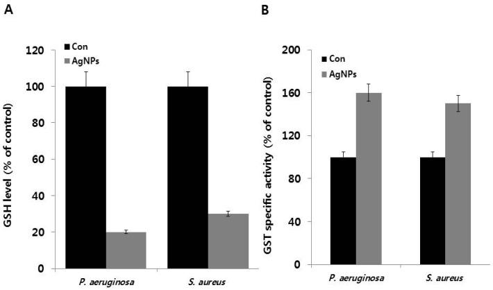 https://cdn.ncbi.nlm.nih.gov/pmc/blobs/221a/5372585/4ad5da264da2/ijms-18-00569-g006.jpg
