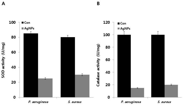 https://cdn.ncbi.nlm.nih.gov/pmc/blobs/221a/5372585/8a84650c3c45/ijms-18-00569-g007.jpg