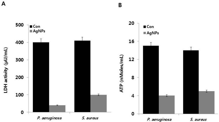 https://cdn.ncbi.nlm.nih.gov/pmc/blobs/221a/5372585/f9e4f02af5ca/ijms-18-00569-g003.jpg