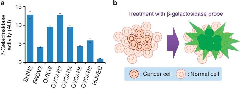 https://cdn.ncbi.nlm.nih.gov/pmc/blobs/221c/4382686/4b9a632dc888/ncomms7463-f1.jpg