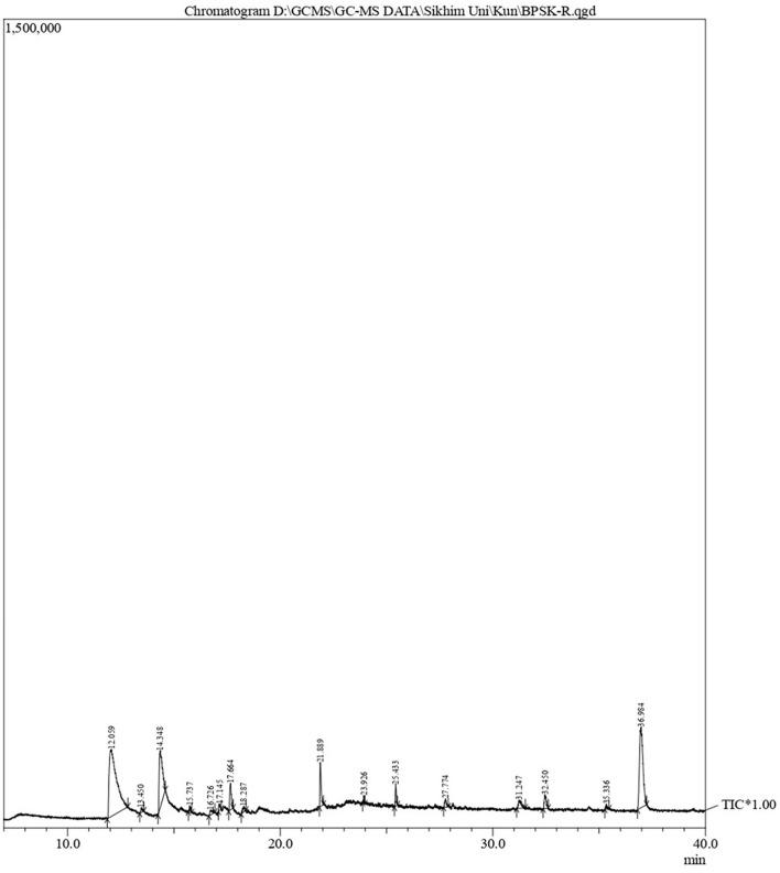 https://cdn.ncbi.nlm.nih.gov/pmc/blobs/221d/11062131/c4072562df50/fmicb-15-1385268-g0004.jpg
