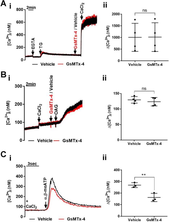 https://cdn.ncbi.nlm.nih.gov/pmc/blobs/221d/5454102/8c4e7d46959d/zbc0251767650004.jpg