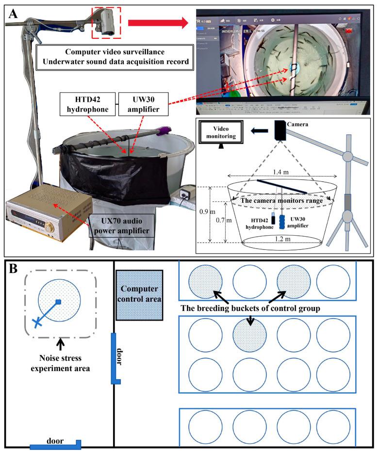 https://cdn.ncbi.nlm.nih.gov/pmc/blobs/221e/11641136/0327ab349e0a/ijms-25-12610-g001.jpg