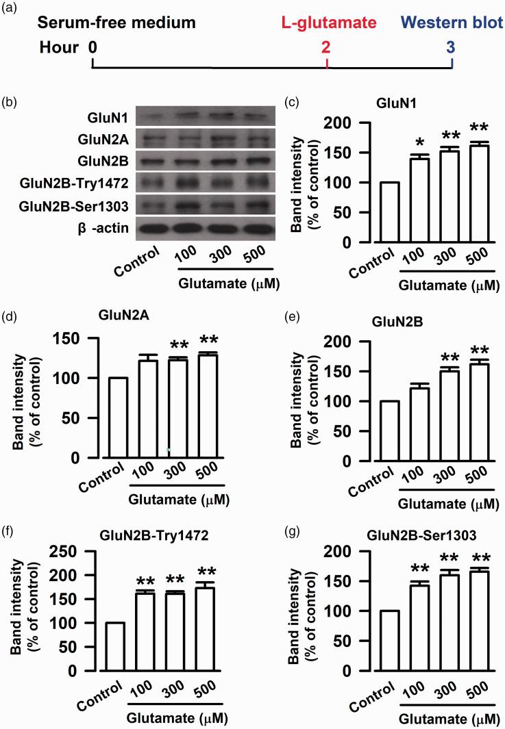 https://cdn.ncbi.nlm.nih.gov/pmc/blobs/221e/7786421/6e16a07ba4b0/10.1177_1744806920972241-fig2.jpg