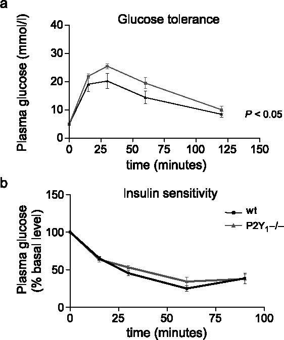 https://cdn.ncbi.nlm.nih.gov/pmc/blobs/2221/2096536/147d179b4c38/11302_2005_Article_6209_Fig3.jpg