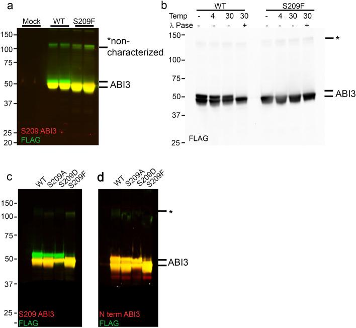 https://cdn.ncbi.nlm.nih.gov/pmc/blobs/2222/9327202/6f69aa252f0f/13195_2022_1044_Fig10_HTML.jpg