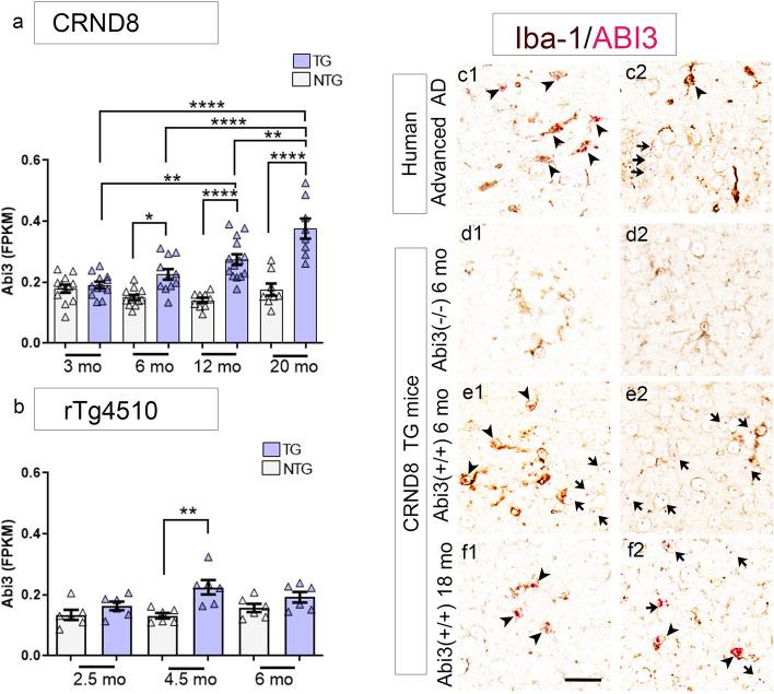 https://cdn.ncbi.nlm.nih.gov/pmc/blobs/2222/9327202/85a5dba28db7/13195_2022_1044_Fig1_HTML.jpg