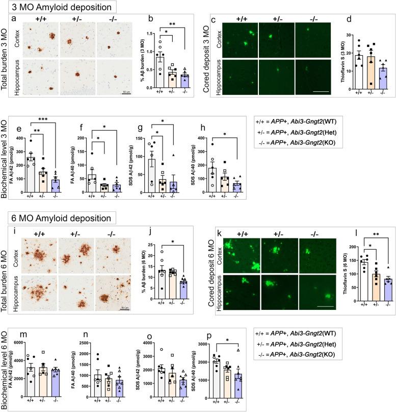 https://cdn.ncbi.nlm.nih.gov/pmc/blobs/2222/9327202/a3c875d44870/13195_2022_1044_Fig5_HTML.jpg