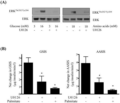 https://cdn.ncbi.nlm.nih.gov/pmc/blobs/2223/3187833/89cc6ffcef48/pone.0025975.g005.jpg