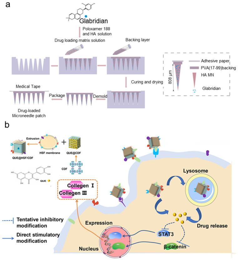 https://cdn.ncbi.nlm.nih.gov/pmc/blobs/2225/11722619/06b734224f5d/polymers-17-00108-g005.jpg